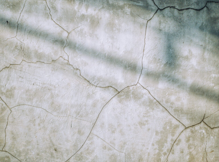 expertise amiable - ncemo